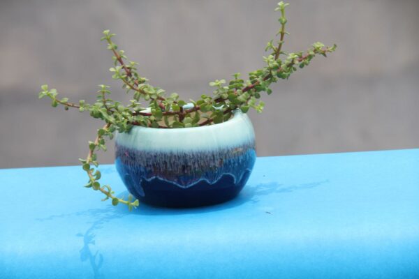 Loading Your Pehla Podha