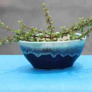 Loading your Pehla podha....