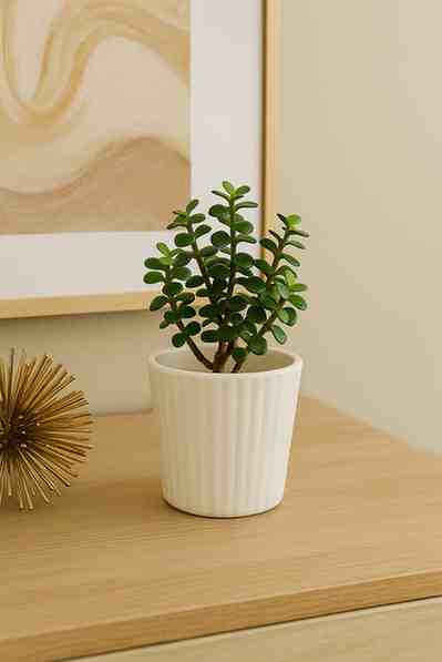 Loading your Pehla Podha........