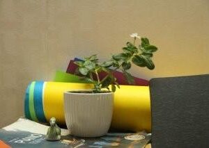 Loading Your Pehla podha......